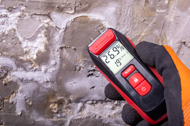 Professional Mold Remediation in Goreville, IL