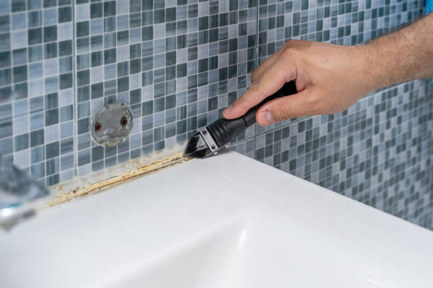 Best Mold Testing and Inspection Services in Gorevle, IL