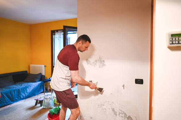 Best Bathroom Mold Remediation in Gorevle, IL